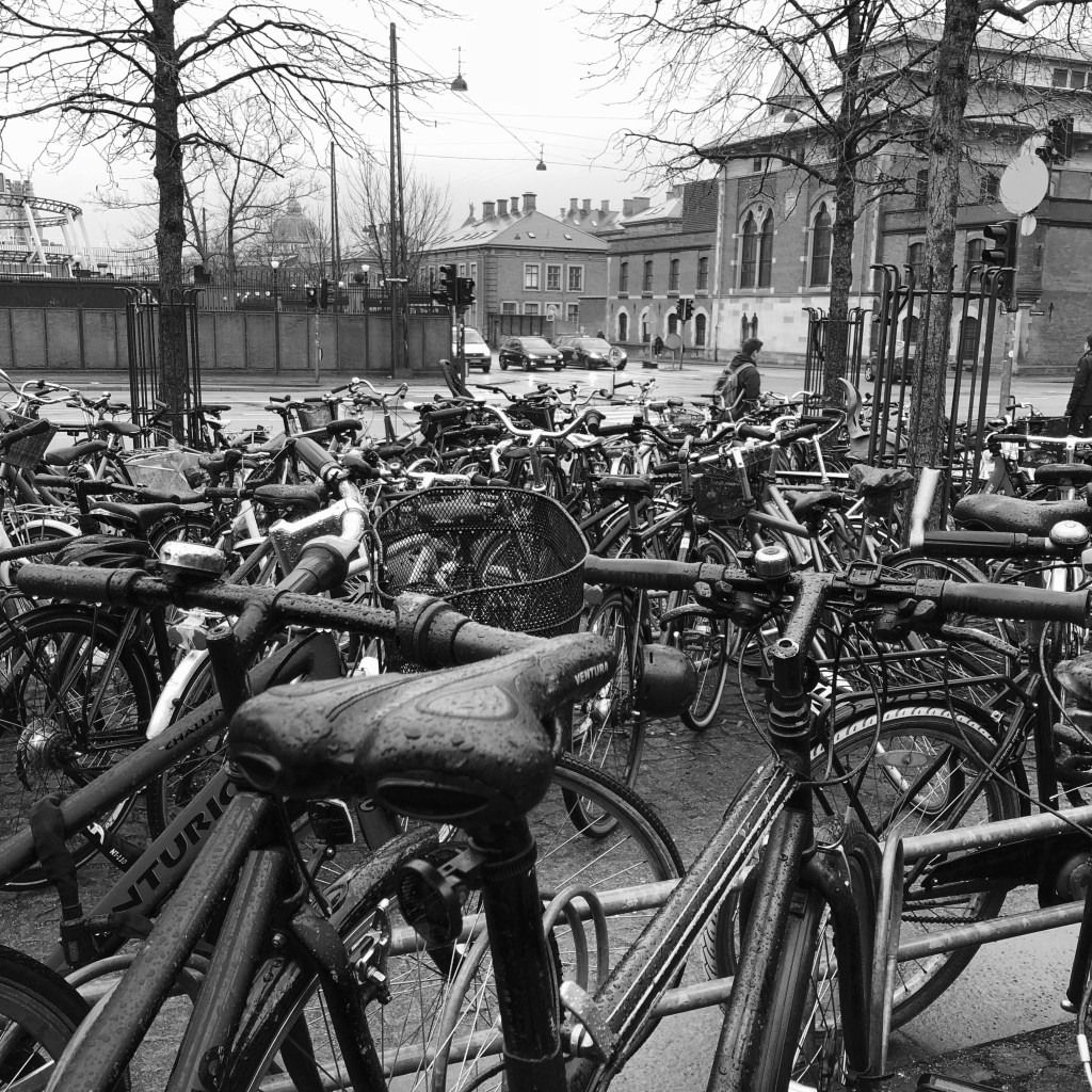 Sea of cycles